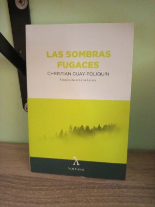 Las sombras fugaces