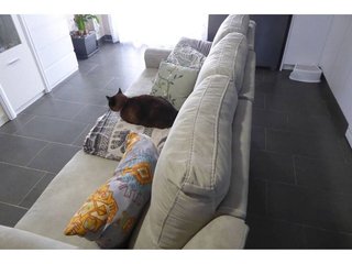 Piso en venta en Zona Poble en Benicarló