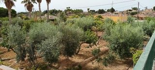 Chalet en venta en Jubalcoi en Elche