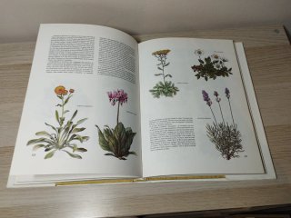 El gran libro de las plantas de jardín
