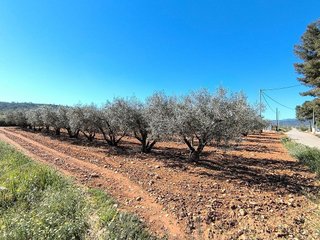 Casa rural en venta en Yecla