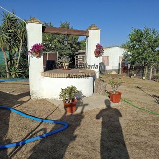Casa rural en venta en Almonte en Almonte