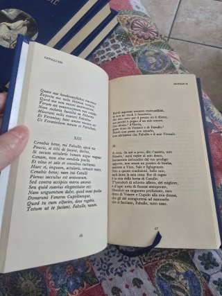 I grandi classici della poesia