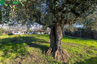 Casa rural en venta en Otura