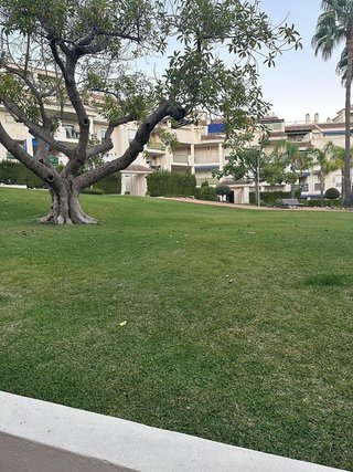 Piso en venta en Nueva Andalucía centro en Marbella