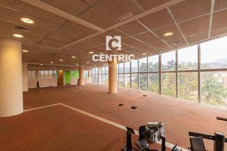 Oficina en alquiler en Sant Pere en Terrassa