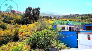Chalet en venta en Guancha (La)