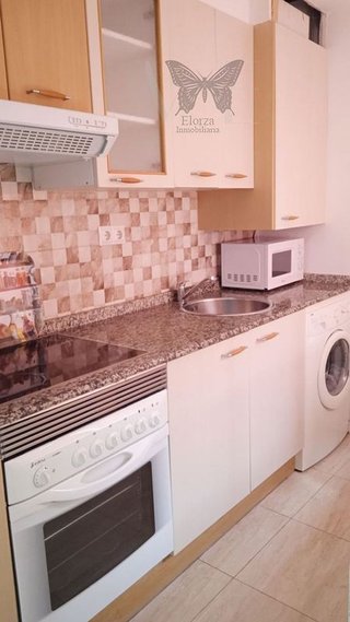 Piso en alquiler en Zona Teatro Campoamor en Oviedo