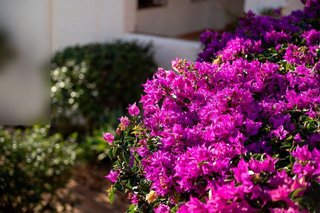 Piso en venta en Almijara - Capistrano - Cueva de Nerja en Nerja