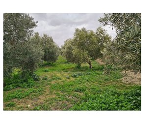 Casa rural en venta en Baza