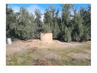 Casa rural en venta en Baza