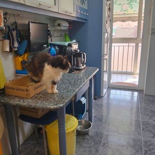 Piso en venta en Universidad - Los Lirios en Logroño