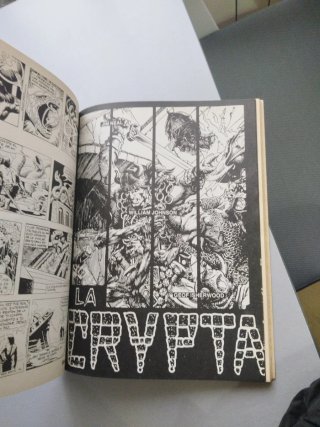 La Espada salvaje de Conan el Bárbaro