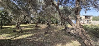 Casa rural en venta en Oromana en Alcalá de Guadaira