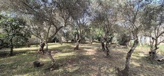 Casa rural en venta en Oromana en Alcalá de Guadaira