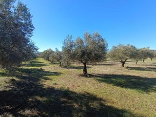Casa rural en venta en Valsequillo (Córdoba)