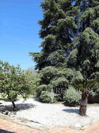 Chalet en venta en El Brillante -El Naranjo - El Tablero en Córdoba