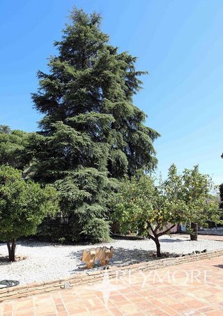 Chalet en venta en El Brillante -El Naranjo - El Tablero en Córdoba