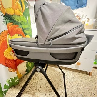 Capazo Inglesina Aptica XT 2025