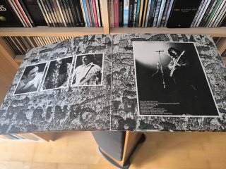 Vinilo Rory Gallagher Against The Grain