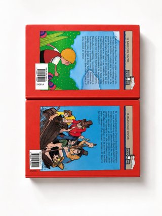 Lote de 17 libros literatura infantil-juvenil