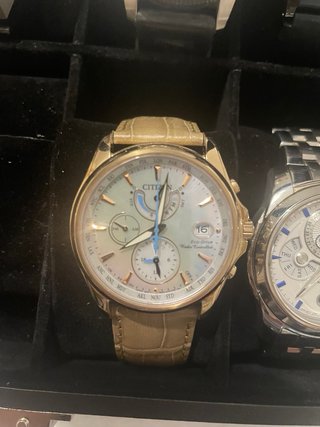 Citizen Eco-Drive Radiocontrollato Oro Beige