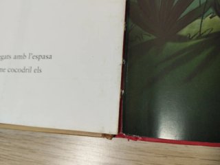El follet Oriol i el drac màgic