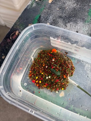 10 Bolsas PVA listas para pesca