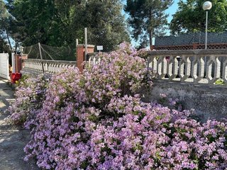 Casa en venta en Santa Eulàlia de Ronçana
