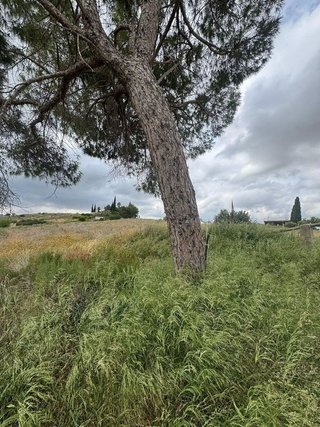 Casa rural en venta en Abanilla
