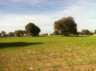Terreno en venta en Guadix