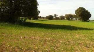 Terreno en venta en Guadix