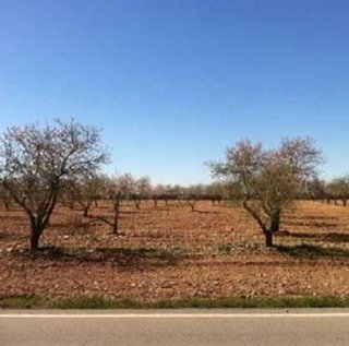 Terreno en venta en Guadix