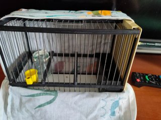 Jaula para pájaros C2