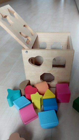 Caja Montessori Madera Bloques Formas