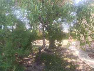 Chalet en venta en Les Tres Cales en Ametlla de Mar, l´