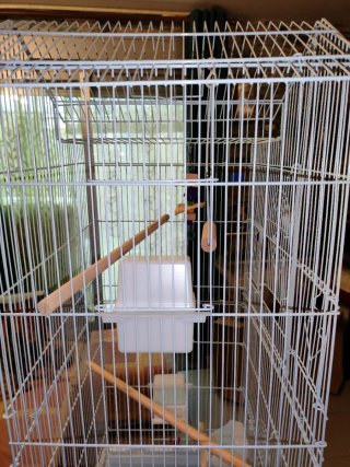 Jaula grande para pájaros