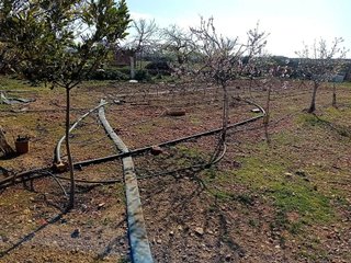 Chalet en venta en Bolaños de Calatrava