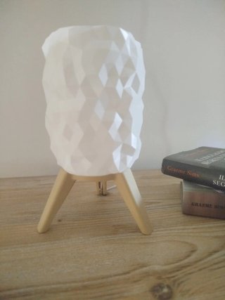 Lampada LED Design 3D-Idea Regalo Artigianale