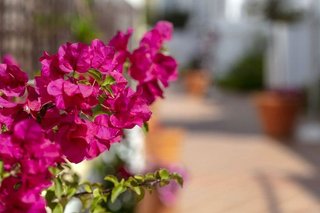 Piso en venta en Nueva Andalucía centro en Marbella