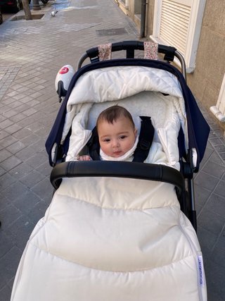Carrito Bugaboo Fox 5