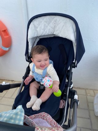 Carrito Bugaboo Fox 5