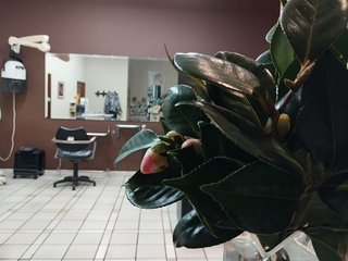 Local comercial en venta en Sobradelo - Rosaleda en Vilagarcía de Arousa
