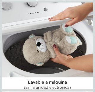 Fisher-Price Peluche Musical Nutria Hora de Dormir