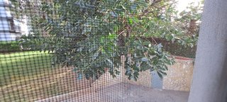 Piso en venta en Este en Castellón de la Plana