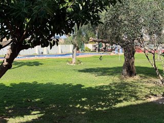 Piso en venta en Centro en Torrevieja