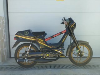 Derbi Variant Sport World Champions