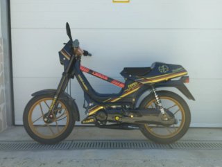 Derbi Variant Sport World Champions