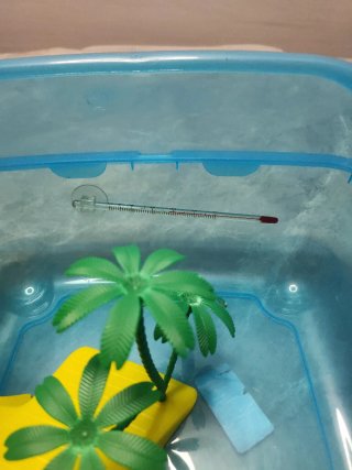 Terrario para tortugas azul y amarillo