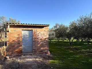 Terreno en venta en Móra d´Ebre